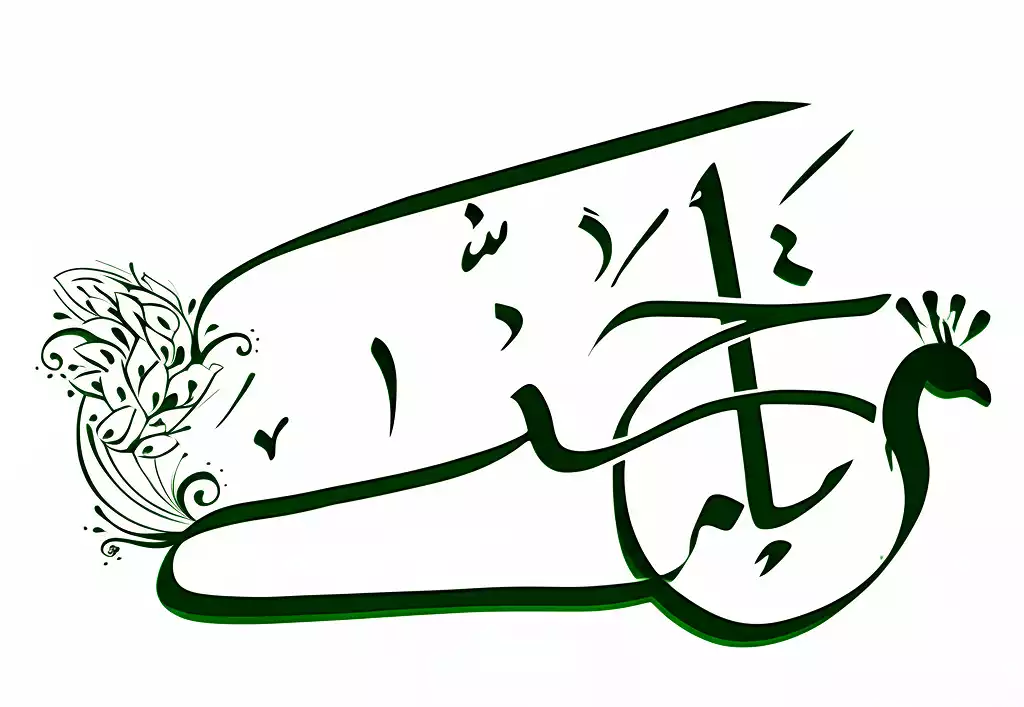 Nawal Basis Al-Sufyani Holding Company