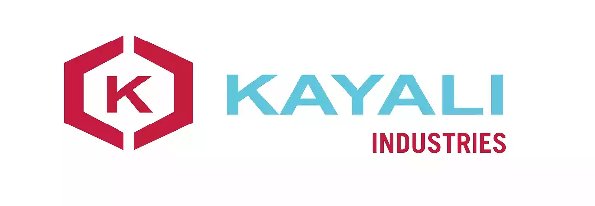 Ahmed Nabil Kayali Detergent Factory Company is a single-person company.