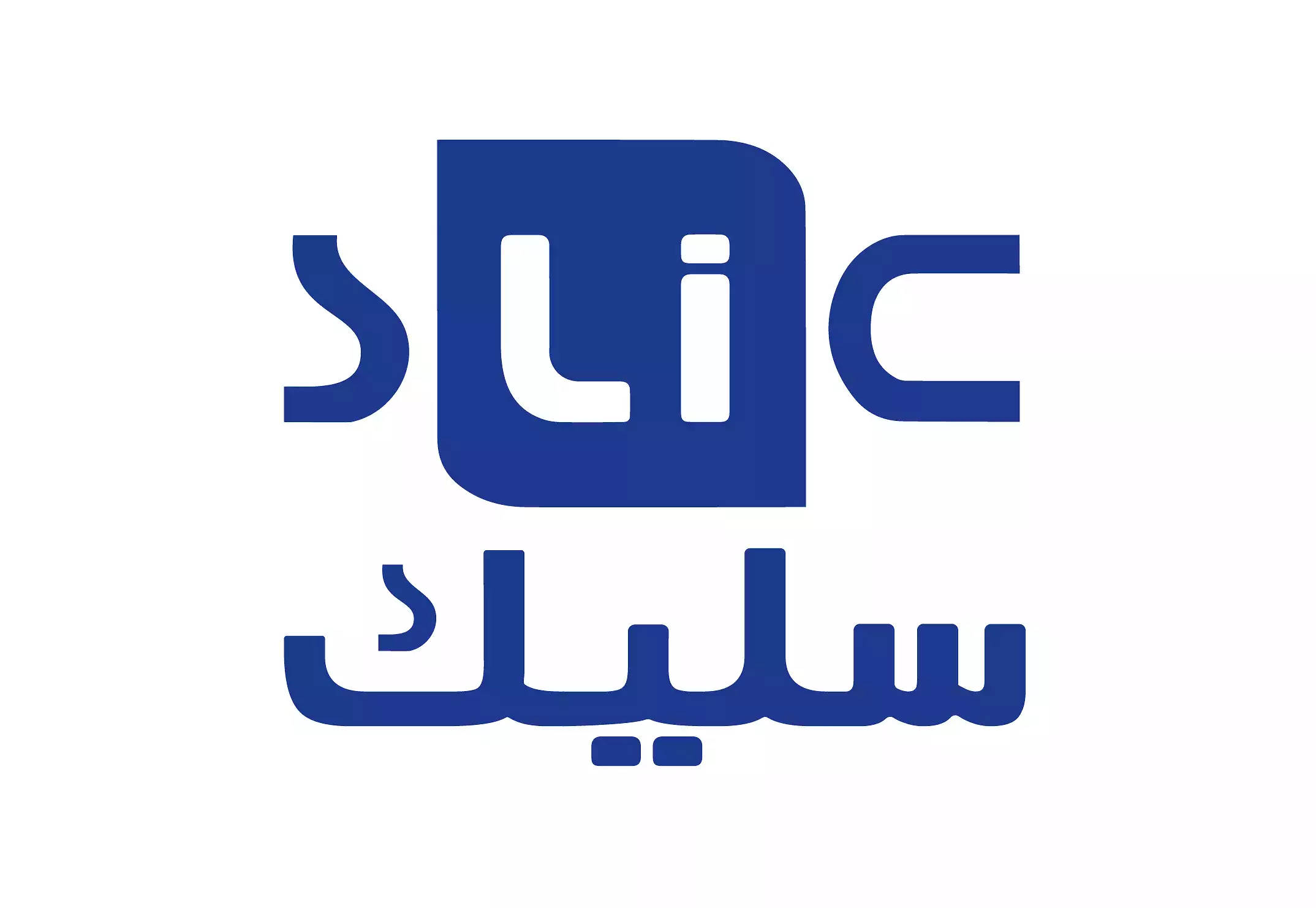 Saudi Leather Industries Company Factory